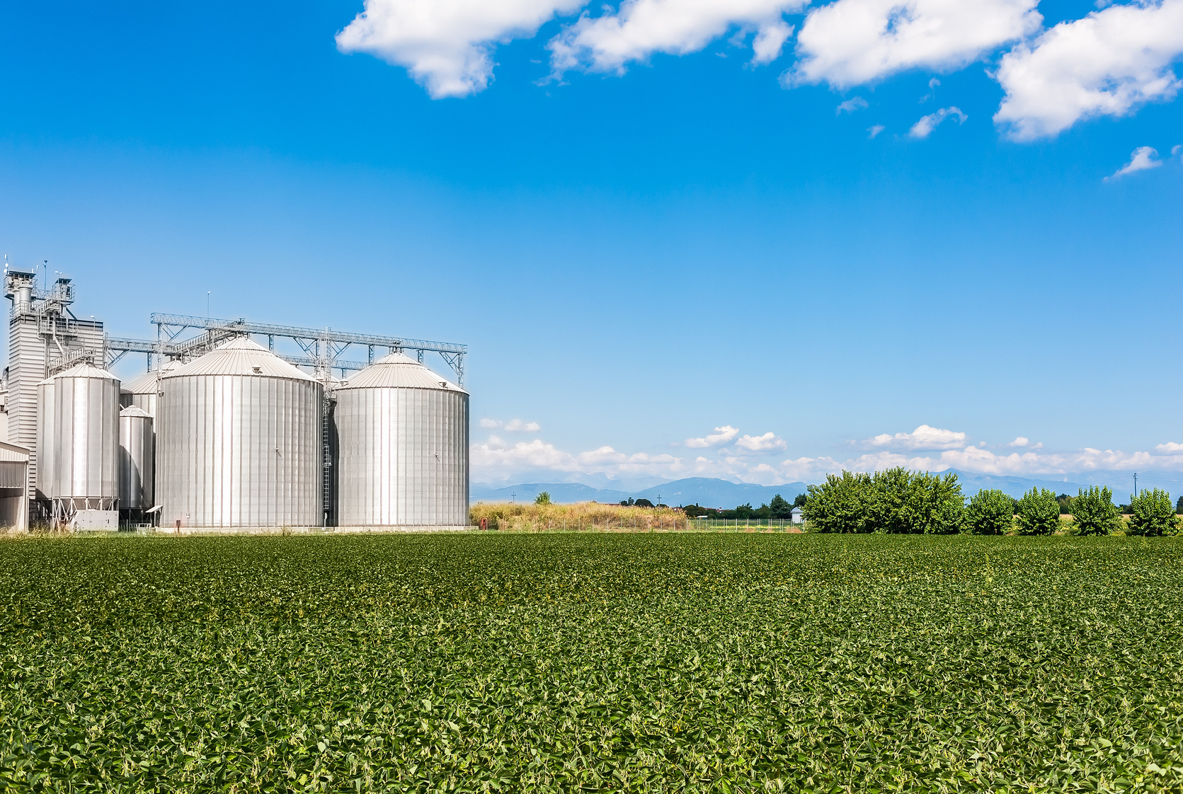 Soy Field and Agricultural Silos