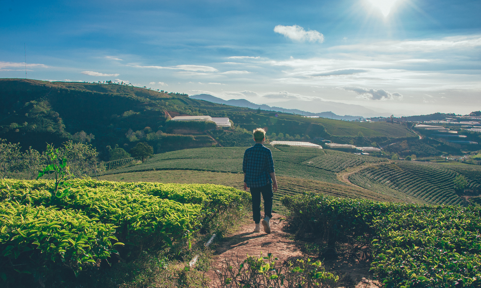 Man Standing in Between Fields