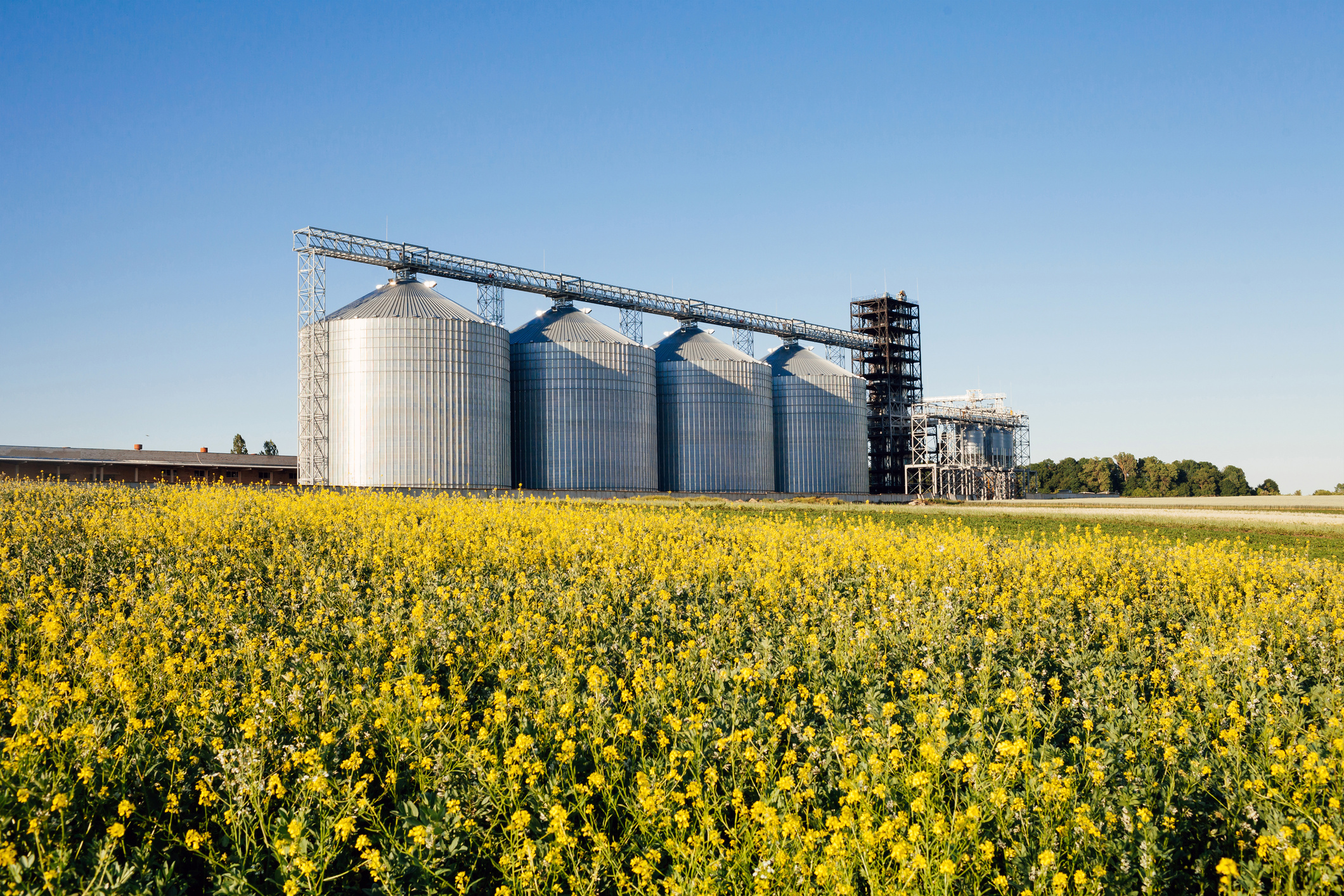 silver silos